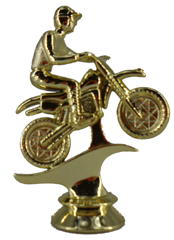 FIGURA D220 DE MOTOCROSS 7.5xH*11 cm