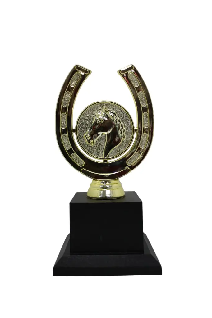 PREMIO BA506-101 DE EQUITACIÓN HERRADURA DE 9xH*17.5 cm