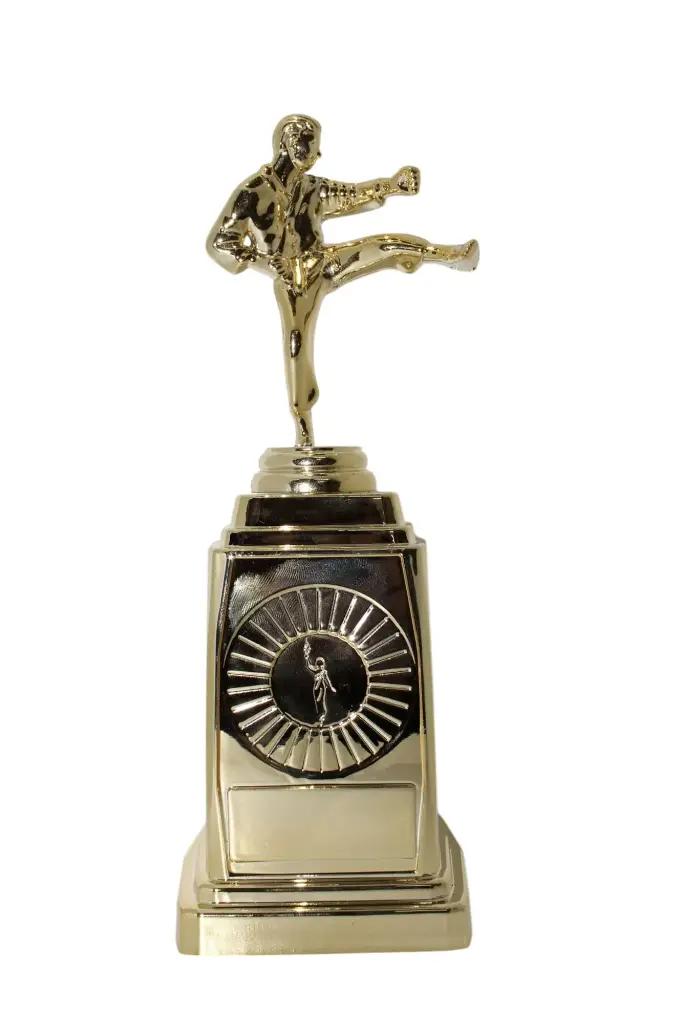 PREMIO BA503-050 DE KARATE PEQUEÑO