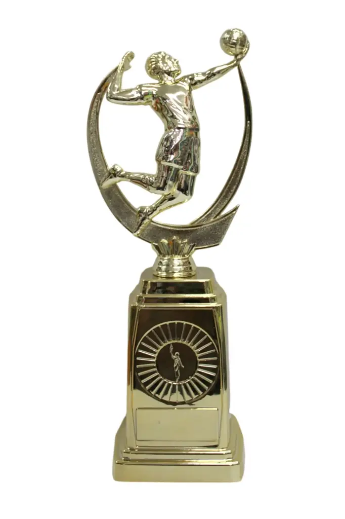 PREMIO BA503-131 DE VOLEIBOL