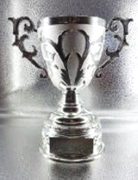 [SY-28B] COPA DE PLÁSTICO ROYAL GRANDE