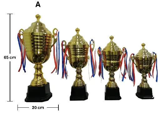 COPA SY19At DE METAL CON TAPA - VICTORIA A 20x65 cm
