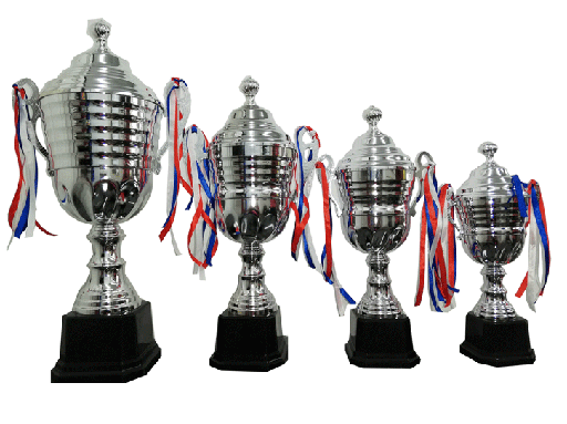 COPA SY19Bt DE METAL CON TAPA - VICTORIA B 16x54 cm