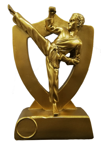 [SY-296] ESCULTURA S296 DE KARATE GRANDE