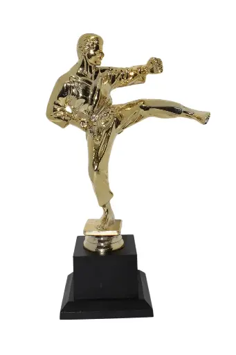 PREMIO BA506-051 DE KARATE EXTRA GRANDE DE 13x26CM