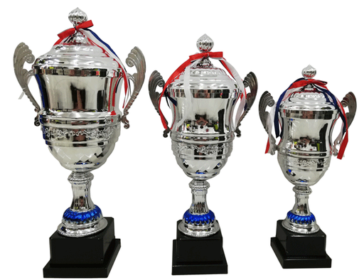 COPA SY27 DE METAL CON TAPA - ROYAL (PLATEADO)