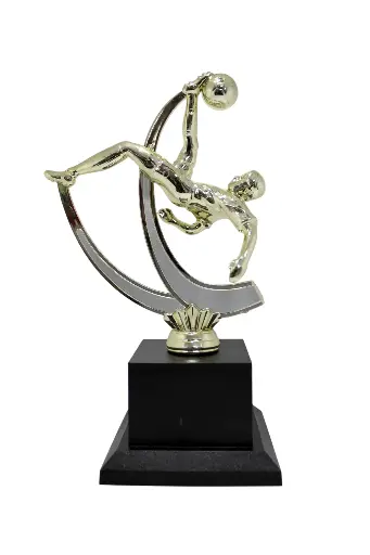 [BA506-013] PREMIO BA506-013 DE FÚTBOL CHILENA 12xH*20.5cm