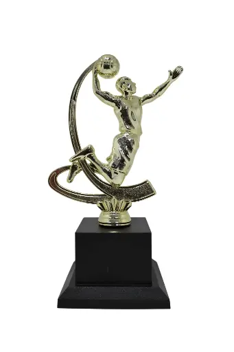 PREMIO BA506-041 DE BALONCESTO DUNK 12x20.5CM
