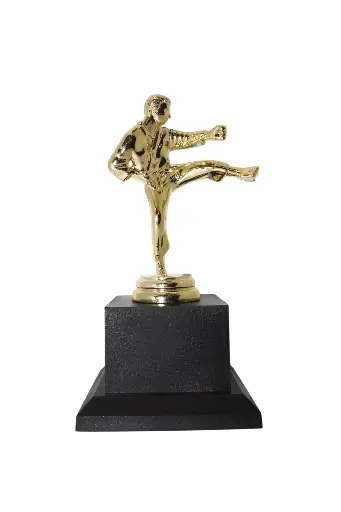 PREMIO BA506-050 DE KARATE PEQUEÑO DE 9x16.5CM
