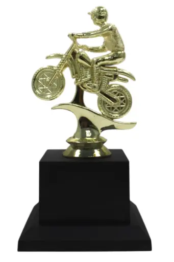 [BA506-220] PREMIO BA506-220 DE MOTOCROSS DE 8.8xH*16 cm