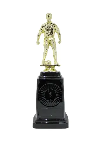 PREMIO BA503-012 DE FÚTBOL PEQUEÑA