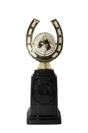 PREMIO BA503-101 DE EQUITACIÓN HERRADURA