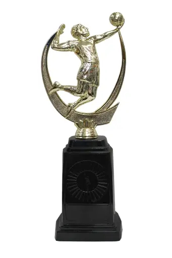 PREMIO BA503-131 DE VOLEIBOL