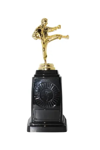 PREMIO BA503-050 DE KARATE PEQUEÑO